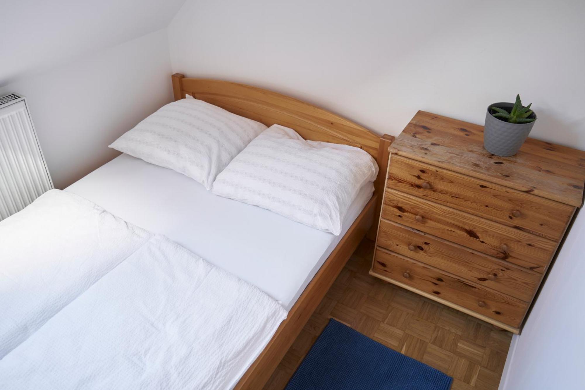 Ljubljana City Dragon Apartment Extérieur photo